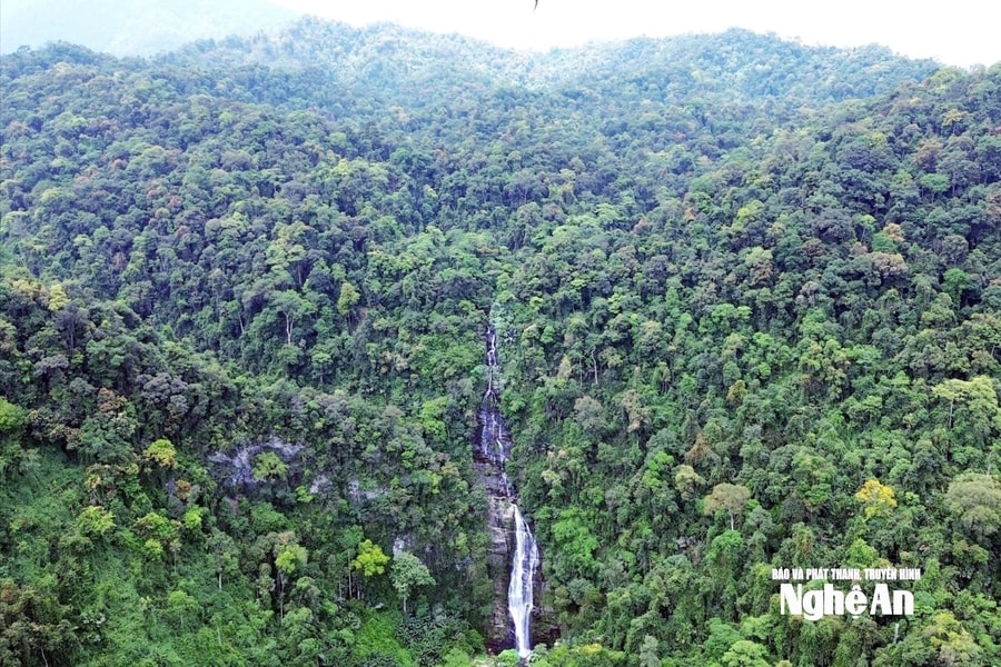 Các chuyên gia hiến kế phát triển bền vững Khu Dự trữ sinh quyển miền Tây Nghệ An