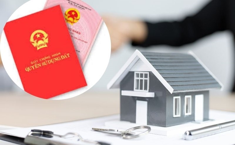 Quyền sử dụng đất mà chồng có được sau khi kết hôn là tài sản chung của vợ chồng đúng không?