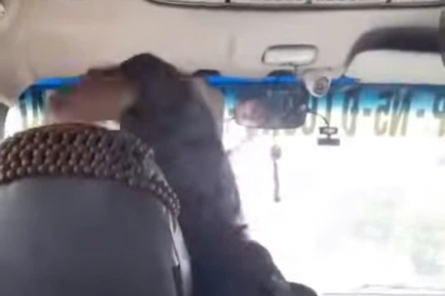 Hành khách lao lên ghế lái, hành hung tài xế xe buýt khi xe đang chạy