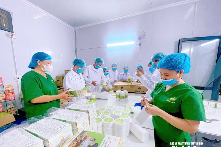 Nghệ An tập trung phát triển chuỗi thực phẩm an toàn