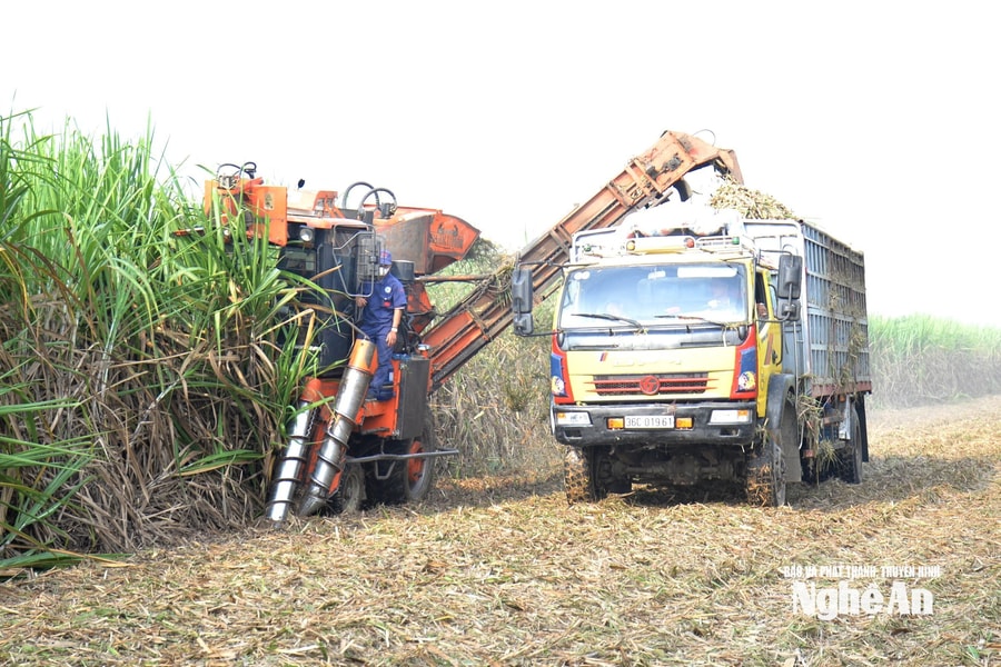 Hiệu quả của việc cơ giới hóa trong sản xuất nông nghiệp