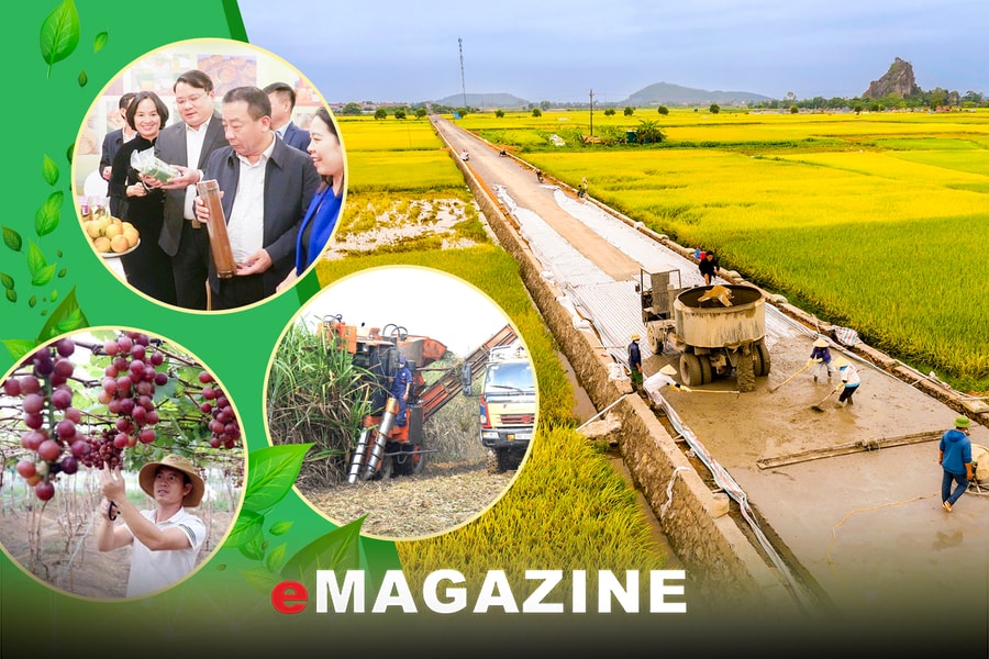 Đại hội đại biểu Hội Nông dân tỉnh Nghệ An lần thứ XI, nhiệm kỳ 2025- 2030: Nỗ lực vì khát vọng vươn lên của nông dân Nghệ An