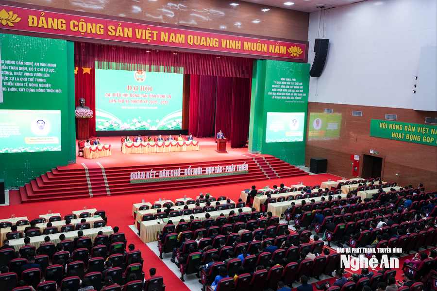 Khai mạc phiên thứ nhất Đại hội Đại biểu Hội Nông dân tỉnh Nghệ An lần thứ XI, nhiệm kỳ 2025 - 2030