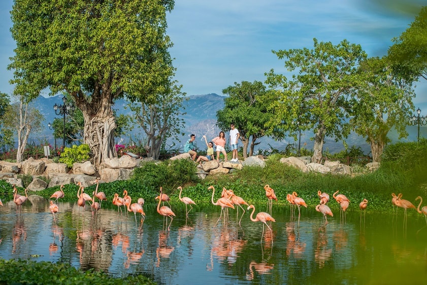 Vinpearl Nha Trang: nghỉ dưỡng Hòn Tre, chơi VinWonders