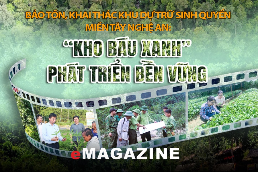Bảo tồn, khai thác Khu Dự trữ sinh quyển miền Tây Nghệ An: “Kho báu xanh” phát triển bền vững