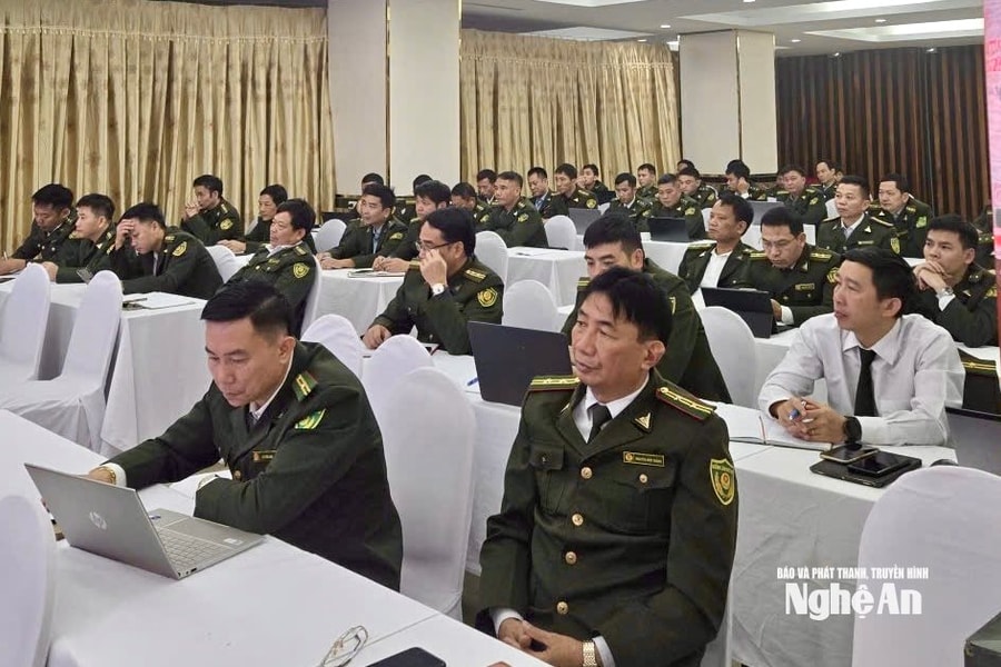 Kiểm lâm Nghệ An tập huấn nâng cao năng lực, nghiệp vụ điều tra trong lĩnh vực Lâm nghiệp