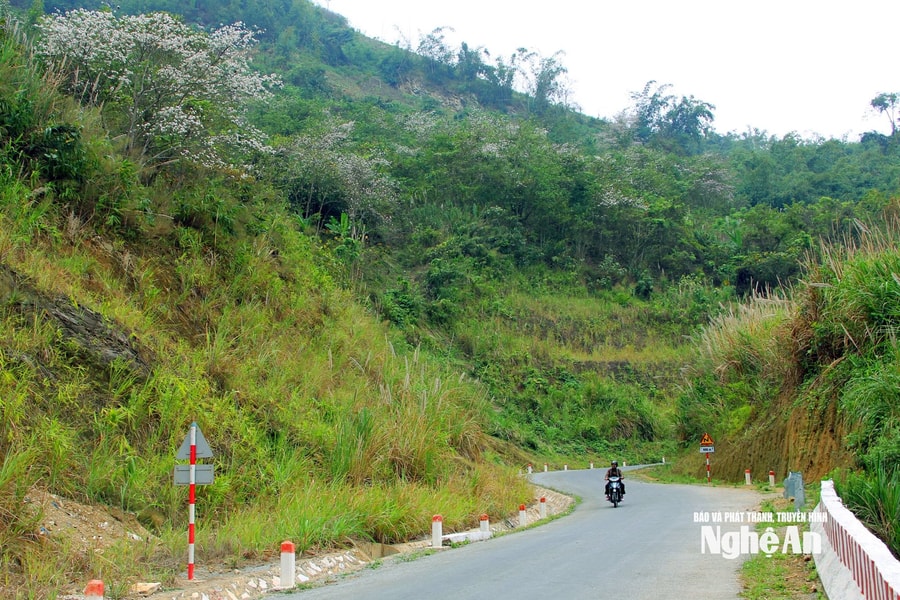 Thời tiết Nghệ An ngày 28/12: Trời rét, nhiệt độ có nơi dưới 15 độ C