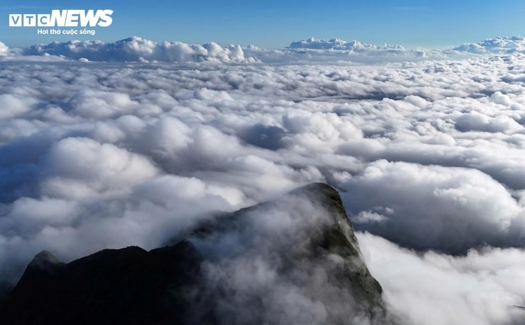 Voi Mẹp: Chinh phục nóc nhà Quảng Trị và hành trình săn mây trên đỉnh Trường Sơn