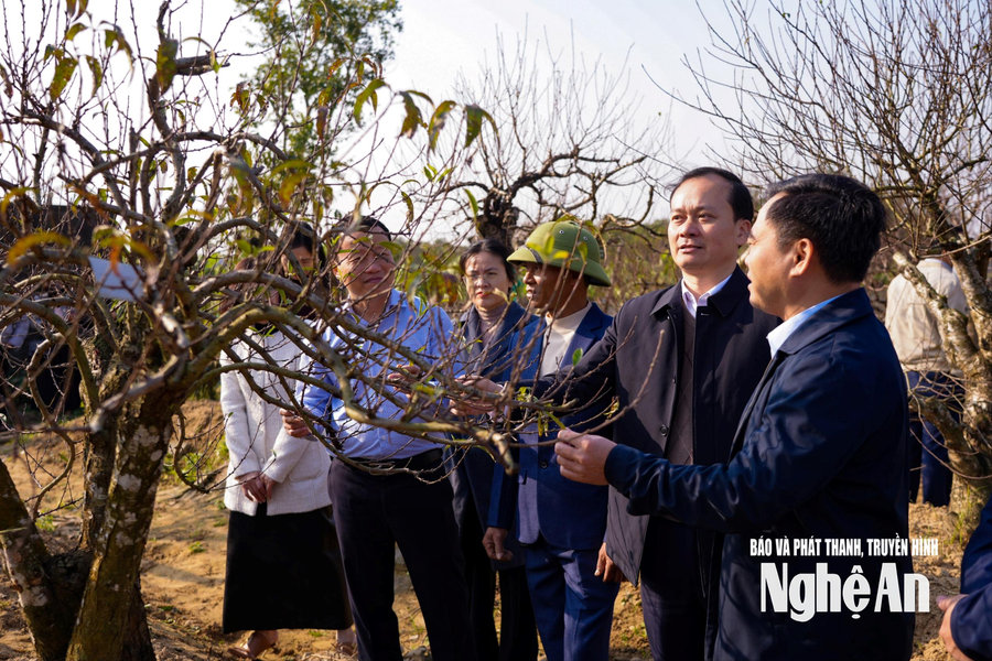 Ra mắt Câu lạc bộ “Nông dân sản xuất, kinh doanh giỏi”