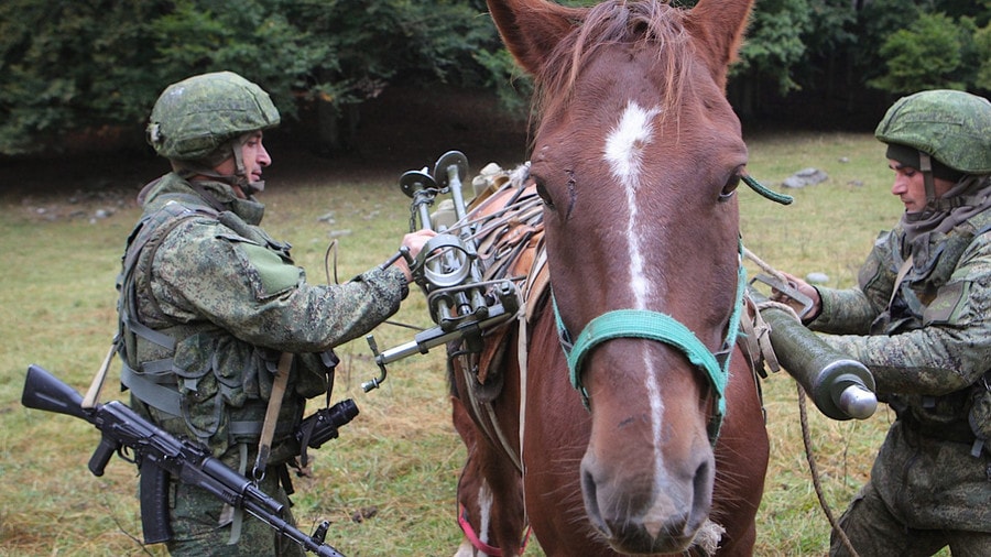 Nga gắn thiết bị vệ tinh Starlink lên lưng ngựa để duy trì kết nối trên chiến trường
