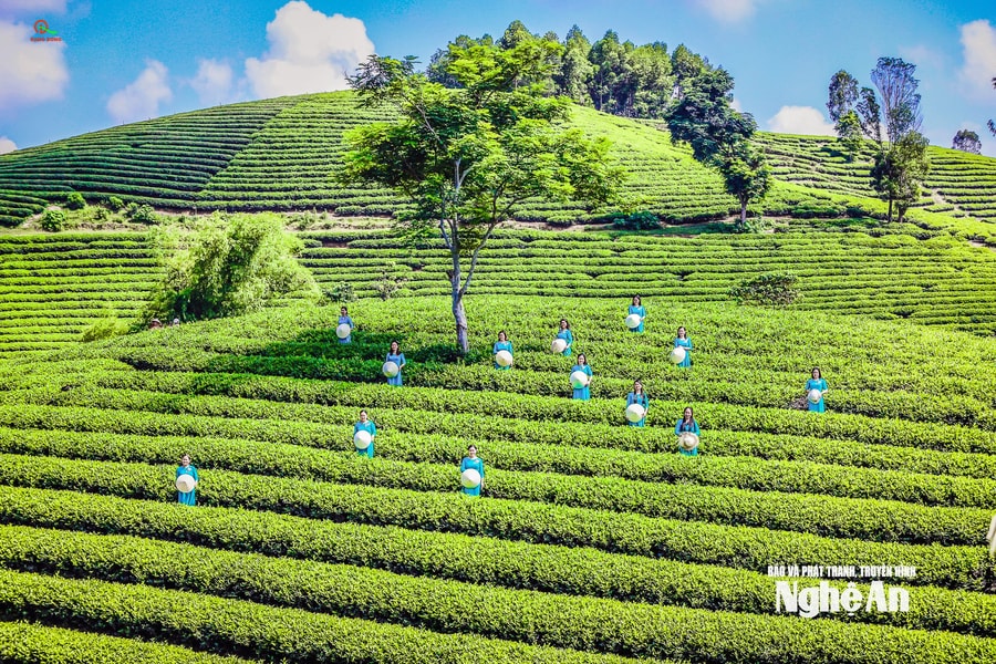 Nông thôn Việt Nam trong kỷ nguyên phát triển mới: Chuyển đổi, thích ứng và phát triển bền vững theo tinh thần Nghị quyết Đại hội XIV của Đảng