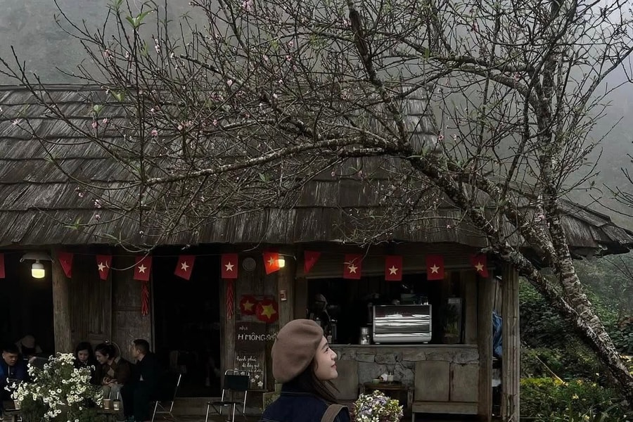 Săn hoa đào sớm miền Bắc: Kinh nghiệm khám phá Tà Xùa, Mộc Châu và Hà Giang