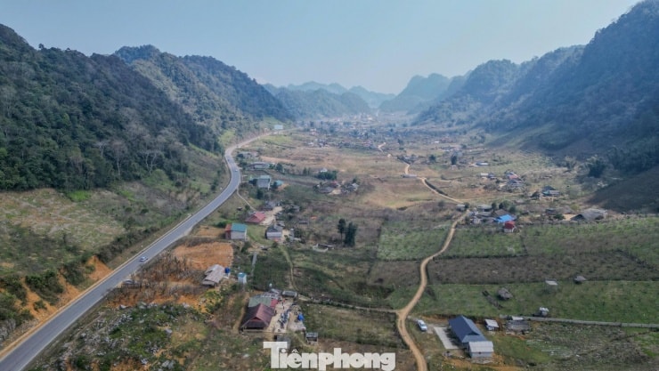 Mộc Châu: Ngỡ ngàng sắc đào mận nở sớm phủ trắng cao nguyên trước Tết