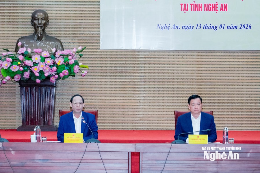 Giám sát, kiểm tra công tác bầu cử đại biểu Quốc hội, HĐND các cấp tại tỉnh Nghệ An