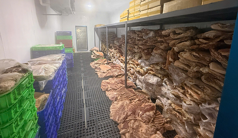 Triệt phá đường dây ‘phù phép’ thịt heo thành thịt đà điểu, nhím, nai quy mô lớn