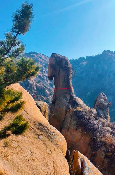 Thanh Đảo: Tảng đá ngựa phi trên núi Đại Chu hút khách check-in dịp năm mới 2026