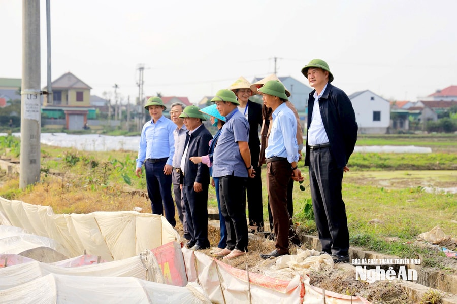 Tập trung đẩy nhanh tiến độ, đảm bảo an toàn cho sản xuất vụ Xuân 2026