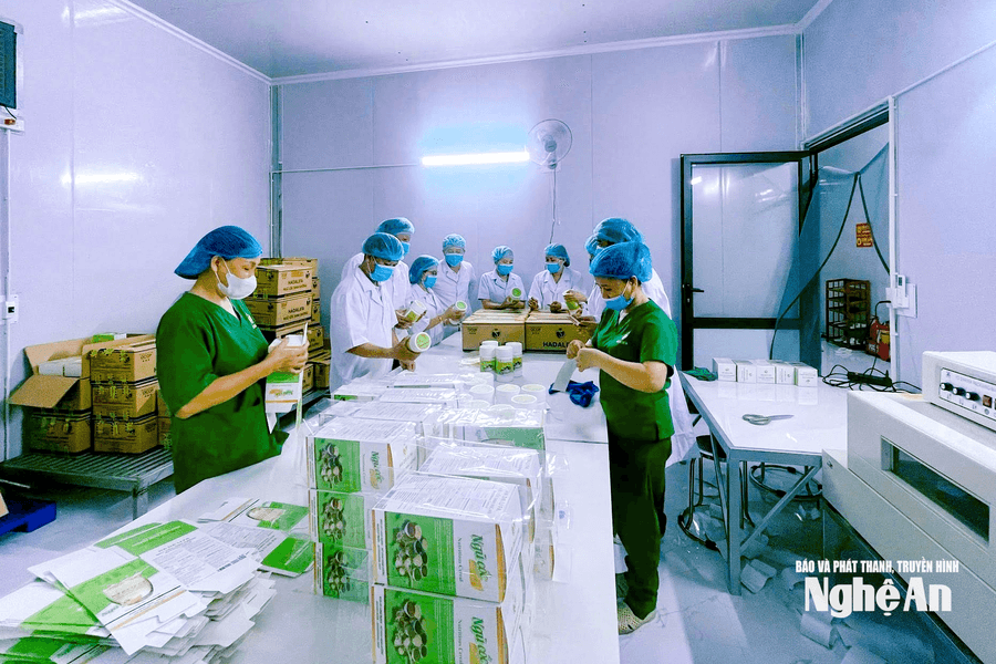 Hướng về Đại hội XIV của Đảng: Kinh tế xanh, kinh tế tuần hoàn, kinh tế số - động lực mới cho nông nghiệp, nông thôn Nghệ An