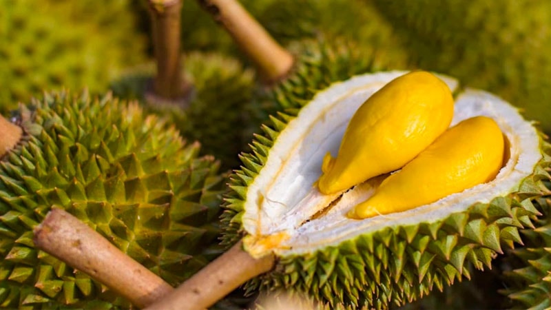 Giá sầu riêng hôm nay 24/1: Thị trường đi ngang, cao nhất 90.000 đồng/kg