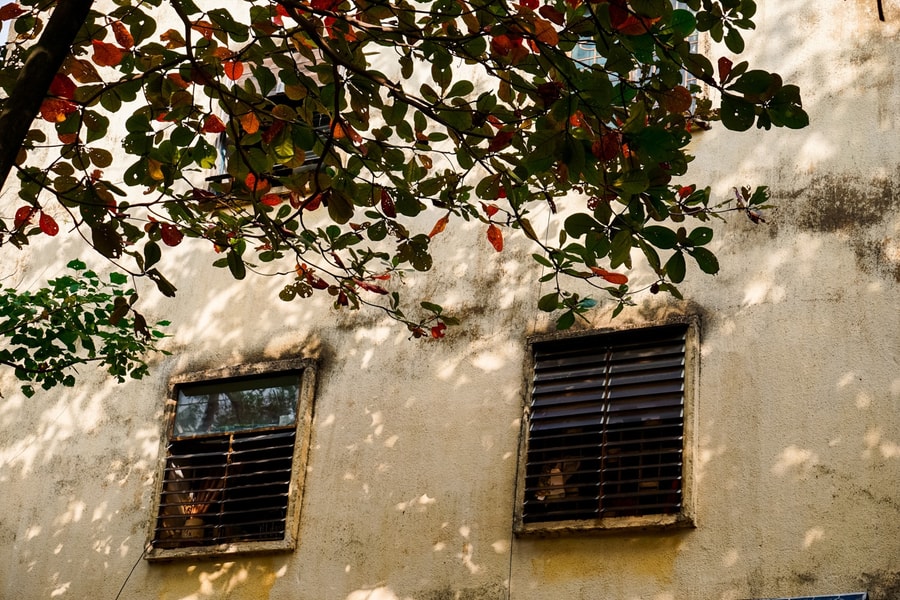 Thời tiết Nghệ An ngày 25/1: Trưa chiều có nắng, trời rét