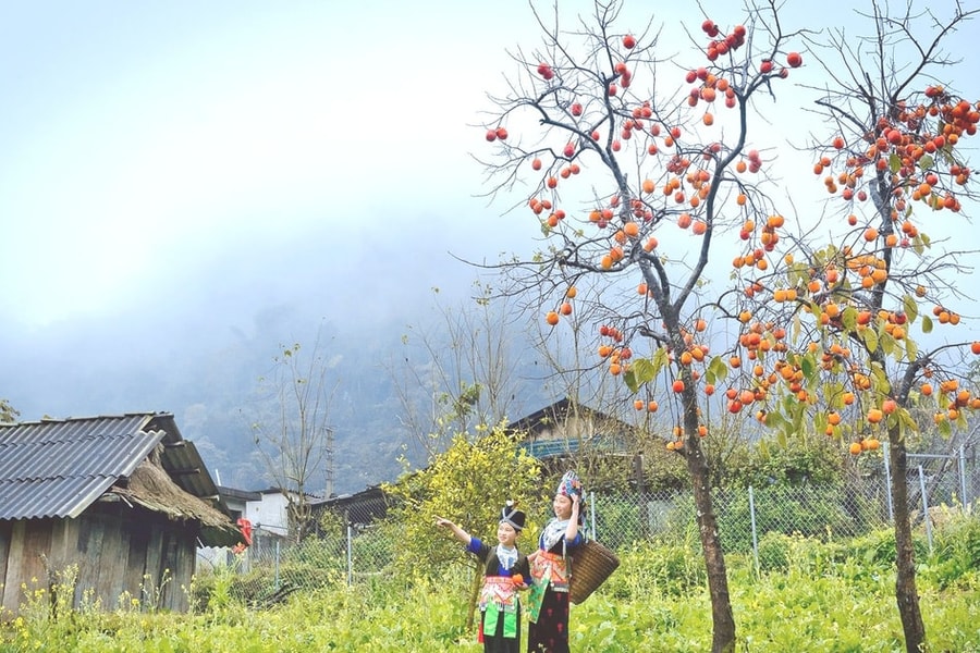 Thời tiết Nghệ An ngày 26/1: Sáng sớm có mưa và sương mù, trưa chiều hửng nắng