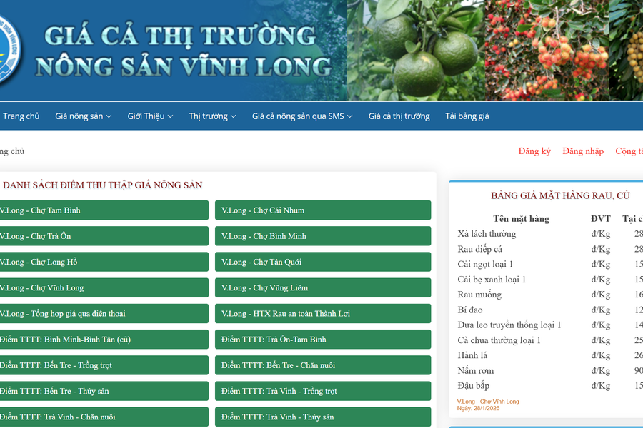 Giá rau xanh giảm mạnh trước Tết Bính Ngọ 2026, nguồn cung từ Lâm Đồng đạt 790.000 tấn