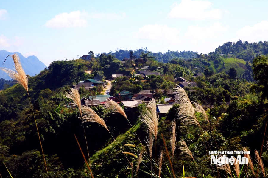 Thời tiết Nghệ An ngày 1/2: Mưa nhỏ rải rác, trời rét