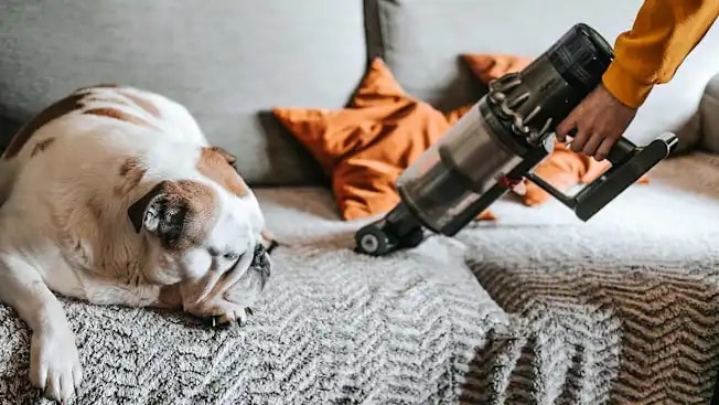 12 cách giảm ô nhiễm không khí trong nhà giúp bảo vệ sức khỏe gia đình