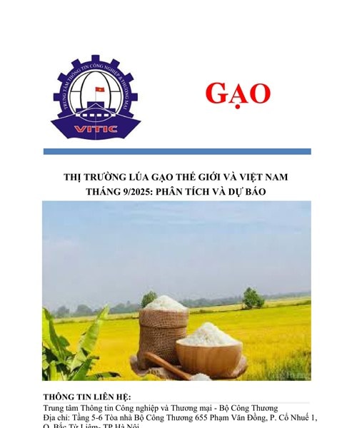 Giá gạo thế giới tháng 9/2025 giảm nhẹ trong bối cảnh nguồn cung biến động