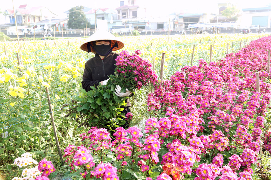 Thời tiết Nghệ An ngày 13/2: Ngày nắng, đêm và sáng sớm trời rét