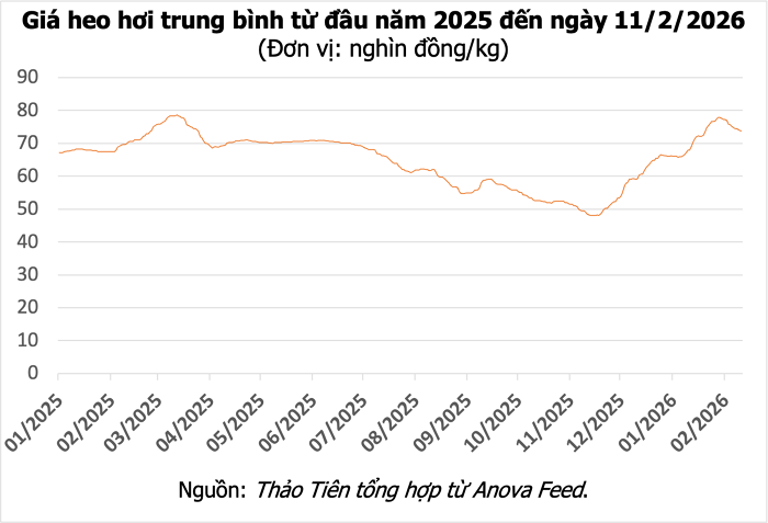 Giá heo hơi hôm nay 11/2: Giảm diện rộng tại hai miền, cao nhất 74.000 đồng/kg