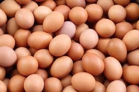 Nhu cầu tiêu thụ trứng tại Pháp năm 2025 đạt kỷ lục 237 quả mỗi người