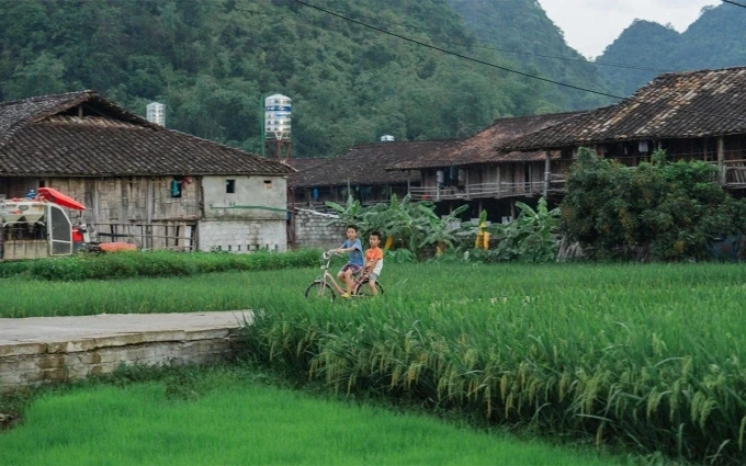 5 làng du lịch Việt Nam tốt nhất thế giới: Gợi ý hành trình trải nghiệm Tết