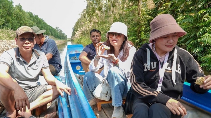 Cà Mau: Trải nghiệm ăn ong và khám phá nghề gác kèo ong giữa rừng U Minh Hạ