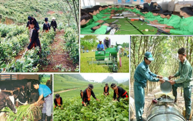 Đổi mới toàn diện, nâng cao chất lượng đào tạo nghề cho lao động nông thôn