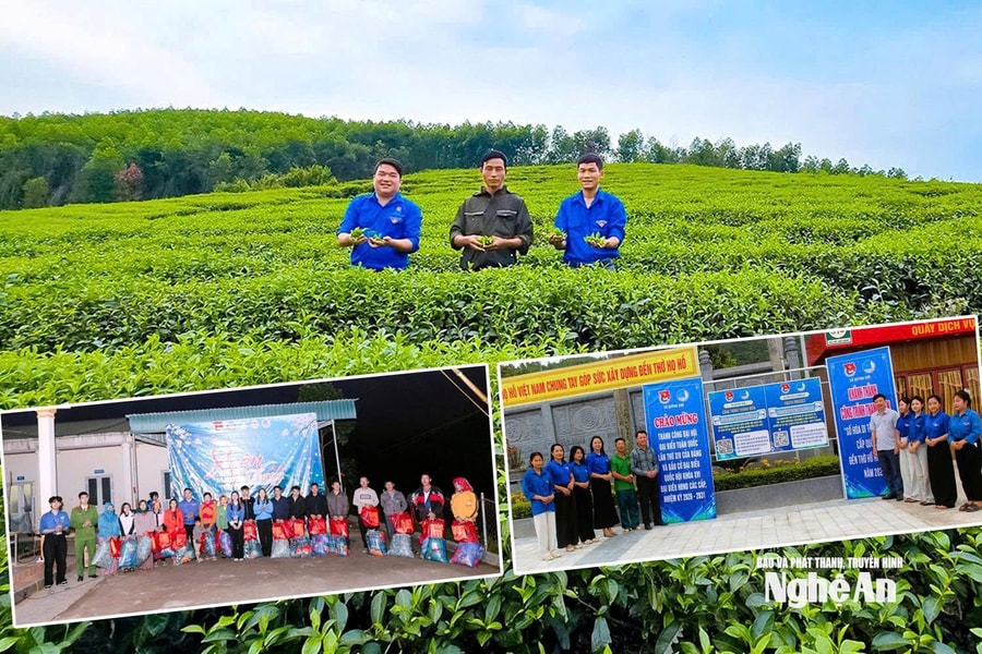 Sức trẻ Nghệ An trong nhịp Xuân mới