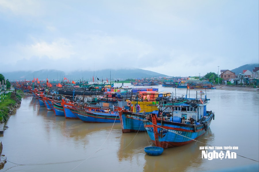 Nghệ An yêu cầu siết chặt kiểm soát tàu cá, khắc phục tồn tại trong chống IUU
