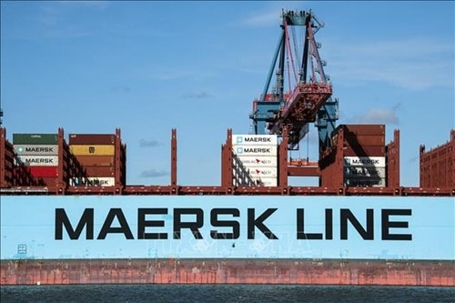 Cước vận tải biển Baltic đạt mức cao nhất hơn 2 tháng, giá tàu Capesize tăng 3,6%