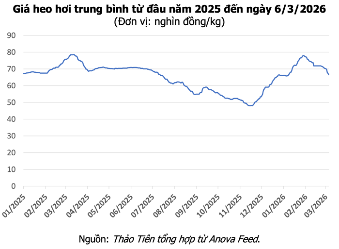 Giá heo hơi hôm nay 6/3: Giảm tới 2.000 đồng/kg, thị trường về mức 62.000 đồng/kg
