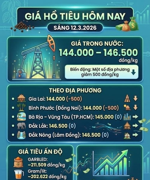 Giá tiêu ngày 12/3: Nguồn cung dồi dào, giá nội địa điều chỉnh về mức 144.000 đồng/kg