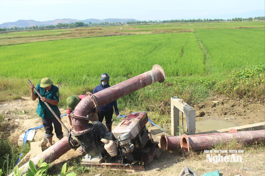 Khó khăn trong công tác chống hạn cho lúa hè thu