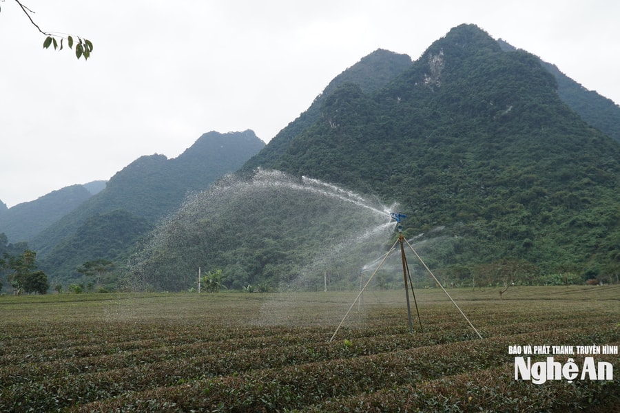 Nông dân Nghệ An ứng dụng công nghệ, nâng cao hiệu quả tưới cho cây trồng