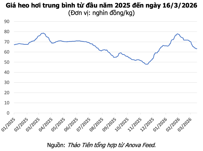 Giá heo hơi hôm nay 16/3: Thị trường đi ngang, cao nhất 66.000 đồng/kg