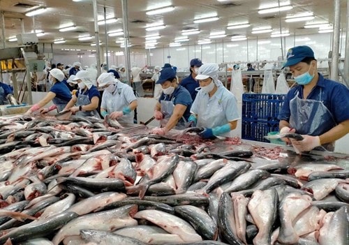 Xuất khẩu thủy sản sang Bắc Âu: Áp dụng bắt buộc hệ thống điện tử CATCH từ 10/1/2026
