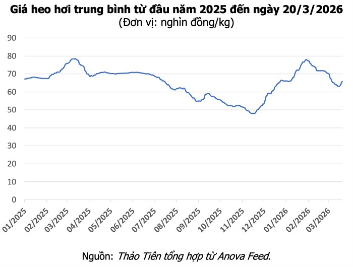 Giá heo hơi hôm nay 20/3: Miền Nam đạt mốc 68.000 đồng/kg, toàn thị trường tăng giá