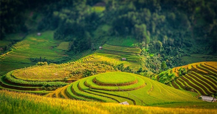Truyện ngắn: “Mưa giông”