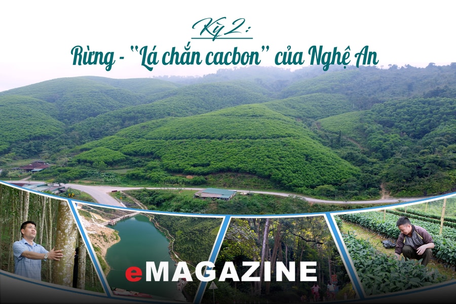 Khai mở “kho báu carbon” từ rừng và lúa: Kỳ 2: Rừng - “Lá chắn cacbon” của Nghệ An