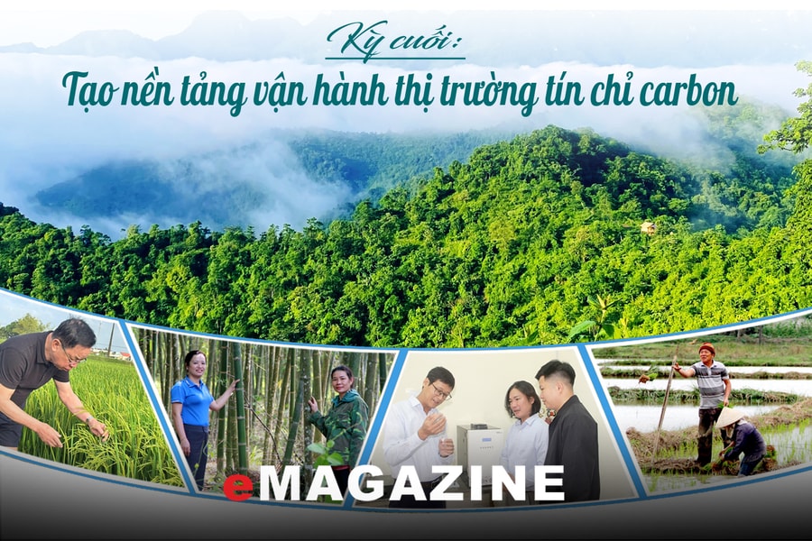 Khai mở “kho báu carbon” từ rừng và lúa: Kỳ cuối: Tạo nền tảng vận hành thị trường tín chỉ carbon