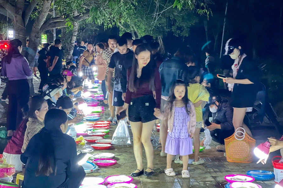 'Chợ mực nháy' Cửa Lò: Không cân, không bảng giá, vẫn tấp nập mỗi đêm