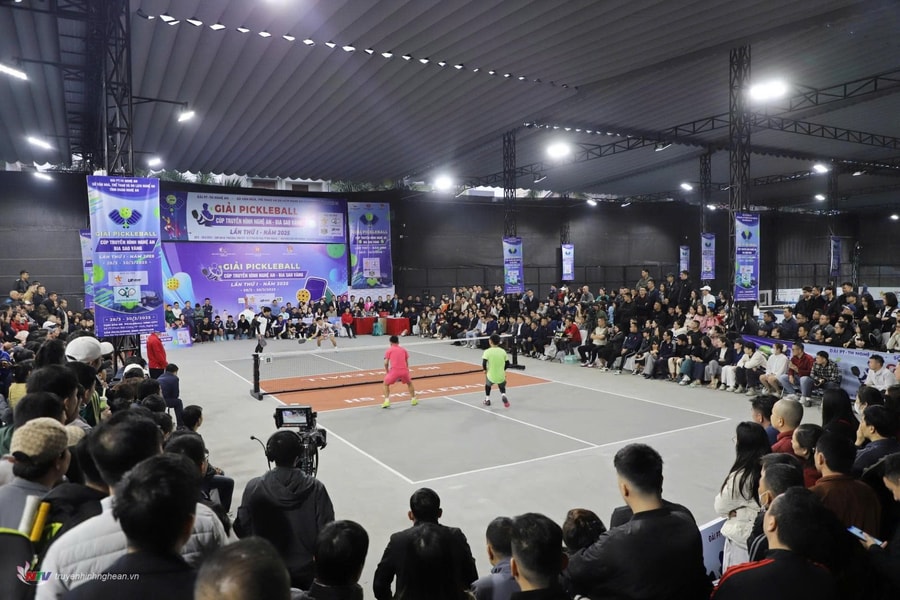Thông báo số 2 bổ sung Điều lệ Giải Pickleball Cúp NTV - Bia Sao Vàng lần thứ 2 năm 2026